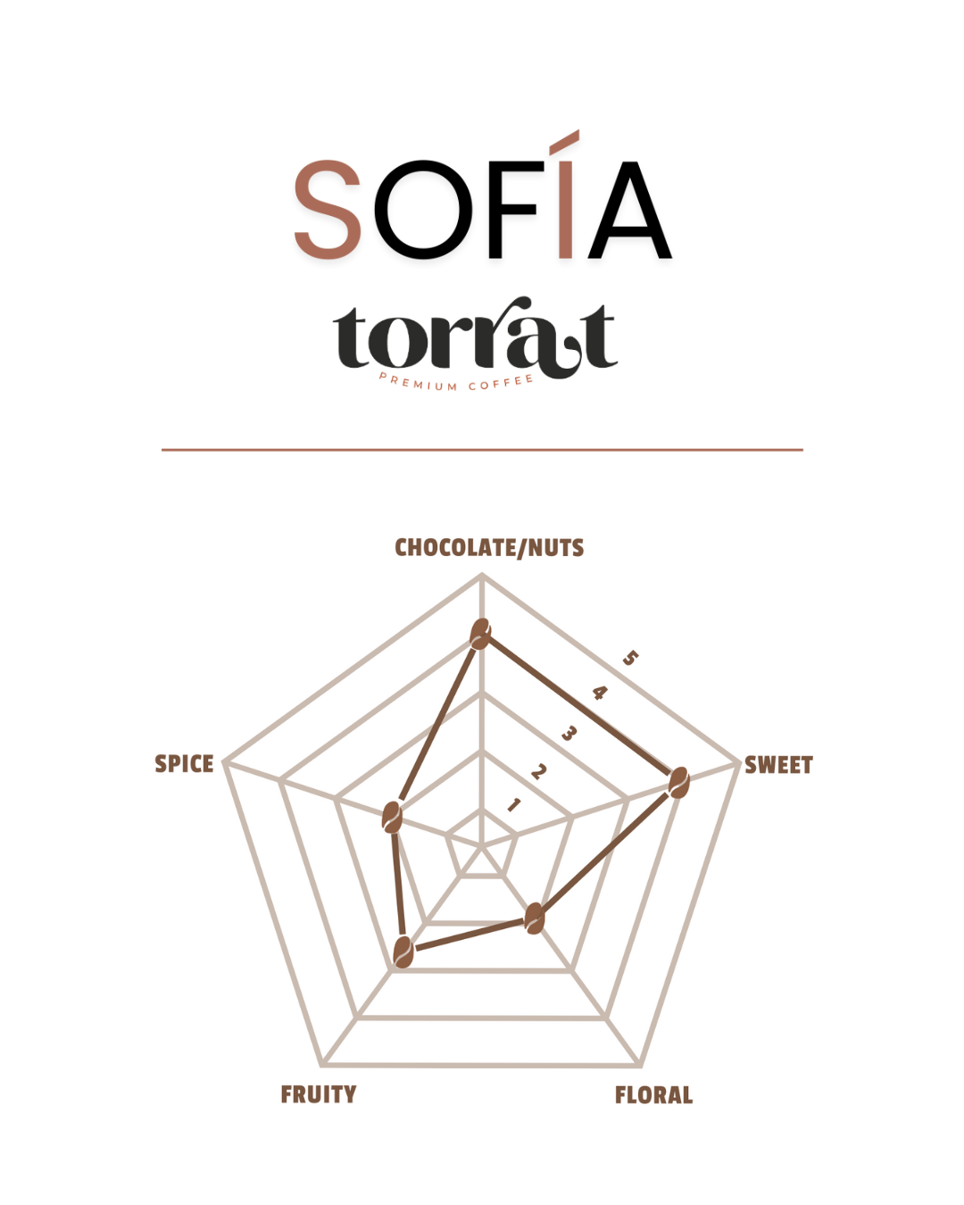 Arabica Colombian Coffee - Whole Bean